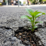 Un brote verde emergiendo con fuerza a través de una grieta en el concreto gris.